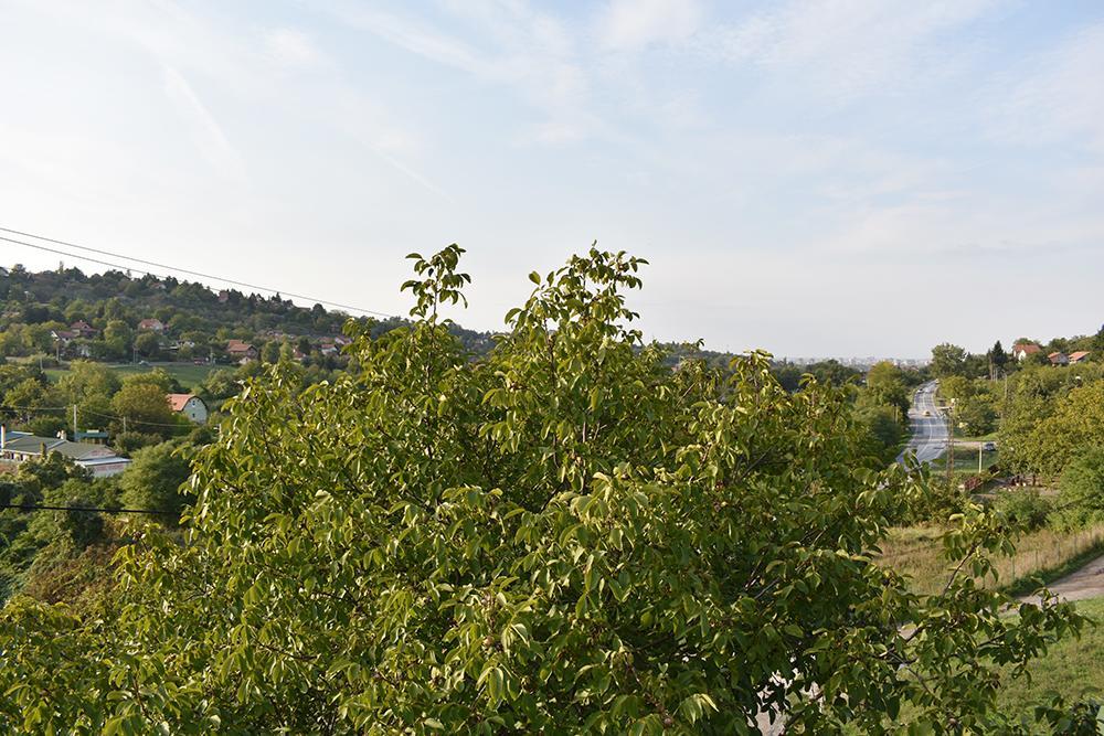 Fruskogorska Terasa Διαμέρισμα Νόβι Σαντ Εξωτερικό φωτογραφία